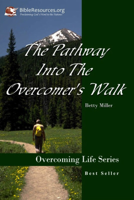 Pathway Into The Overcomer's Walk Image