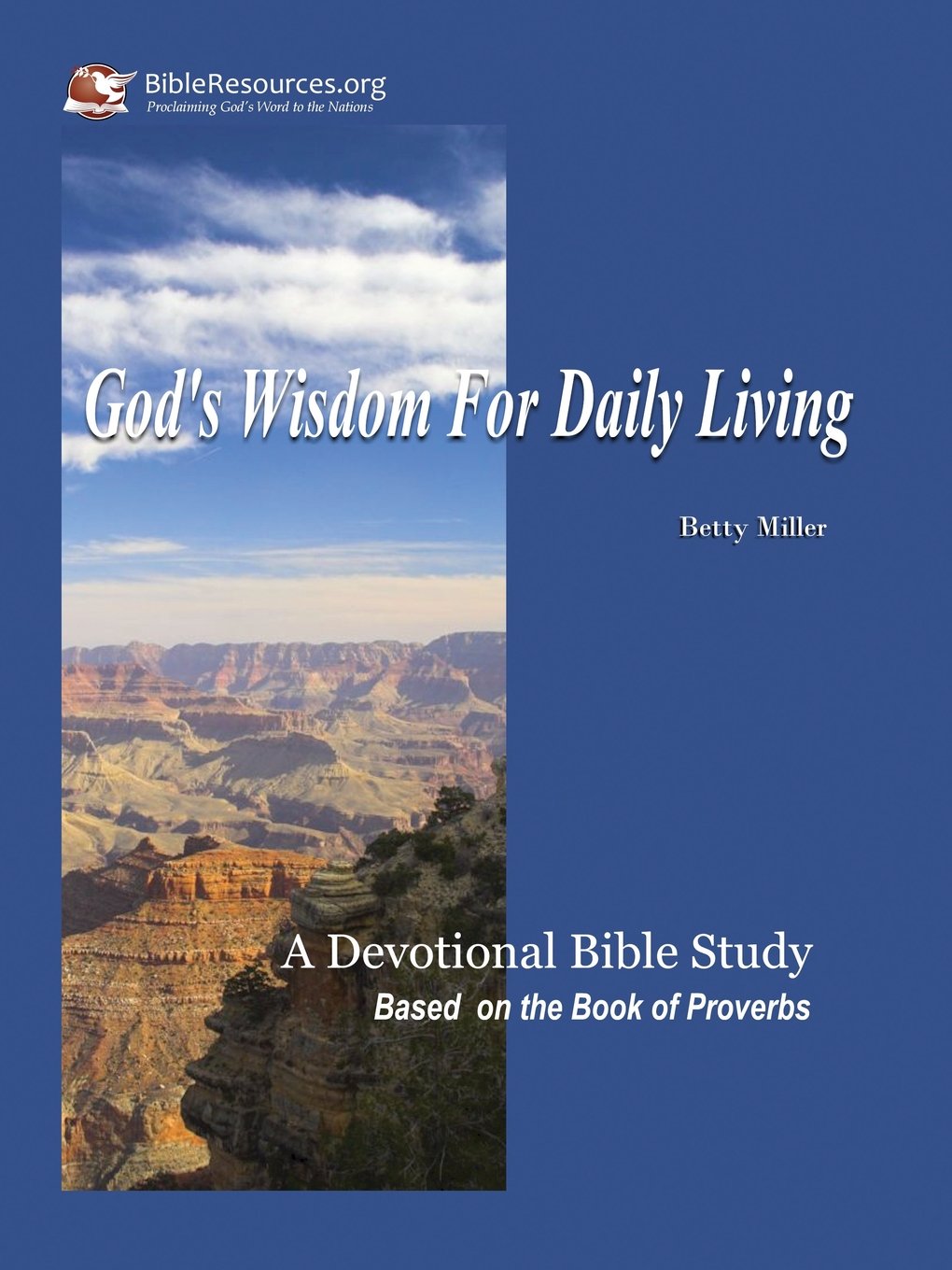 We Can Help You With Your New Years Resolution to Study the Bible More